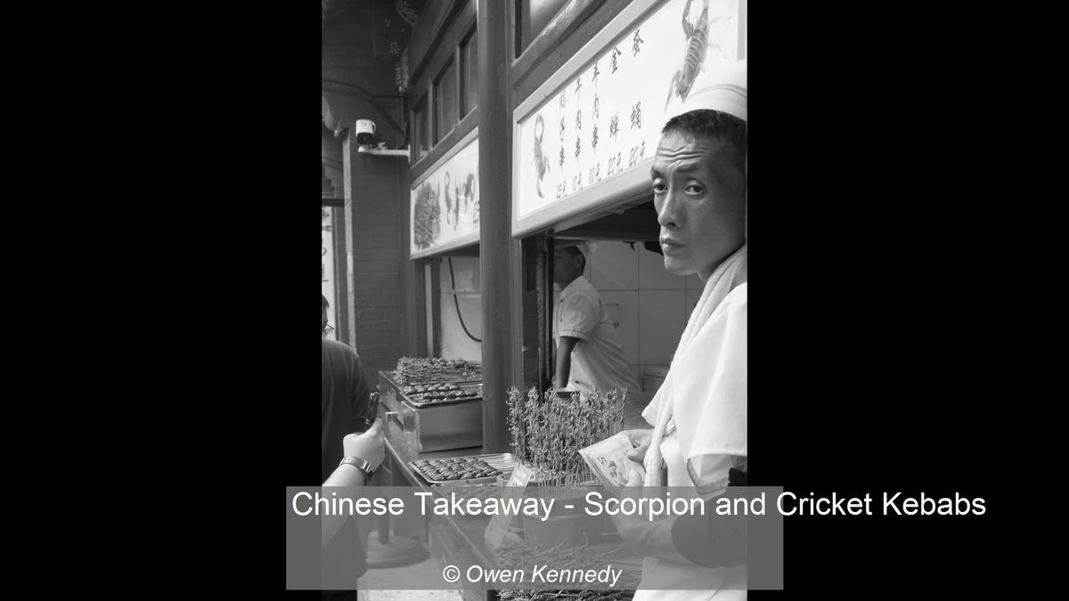 11_Chinese Takeaway - Scorpion and Cricket Kebabs_Owen Kennedy